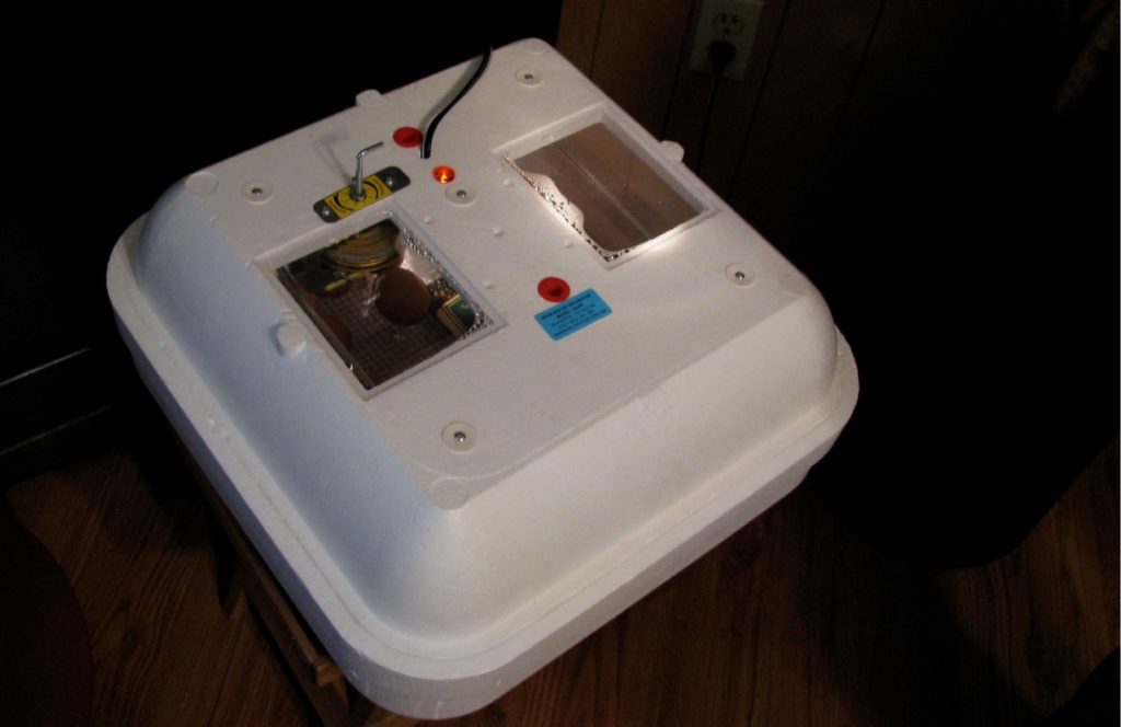 incubator