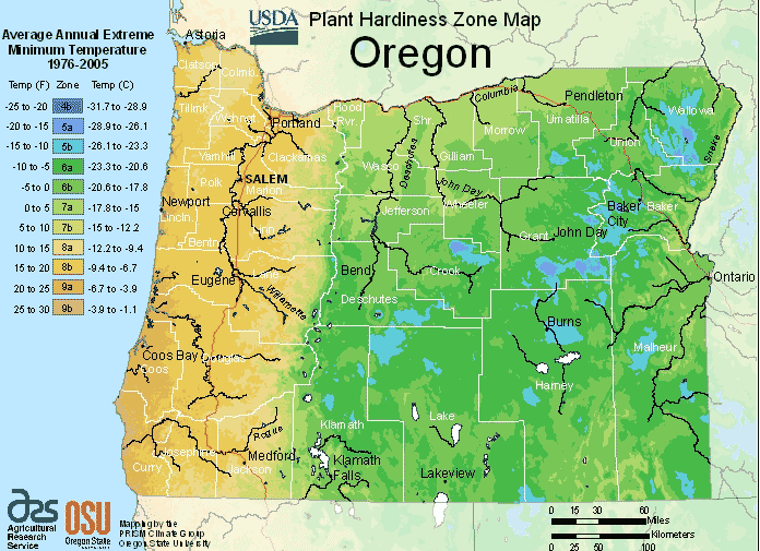 Oregon USDA hardiness plant zone map